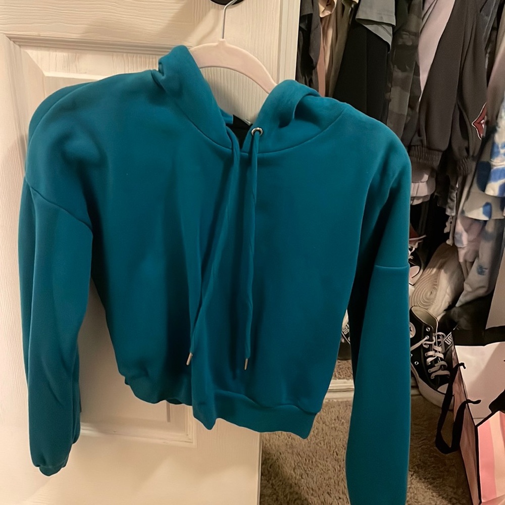 Wild Fable cropped hoodie